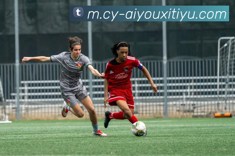 爱游戏体育服务体系